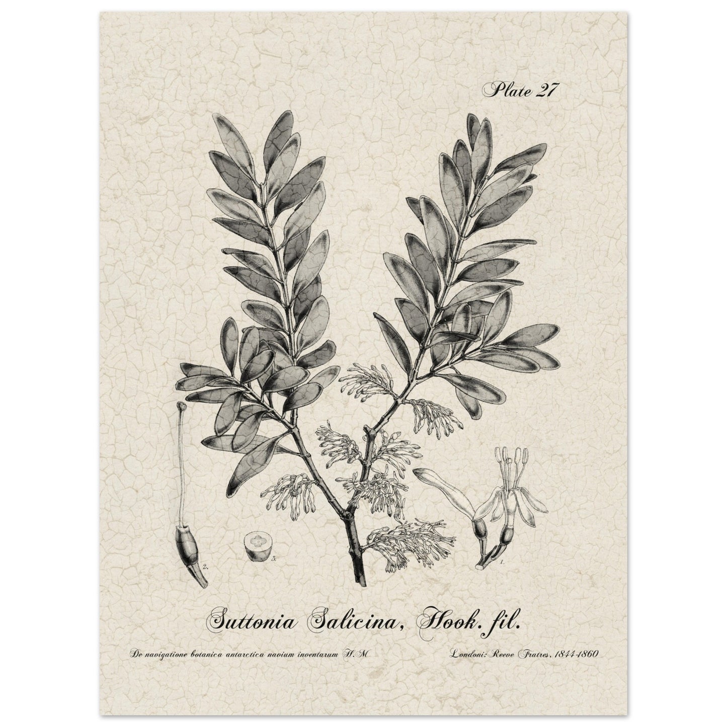 45a45123-43e7-4d2a-9348-5d94c50bdcd4