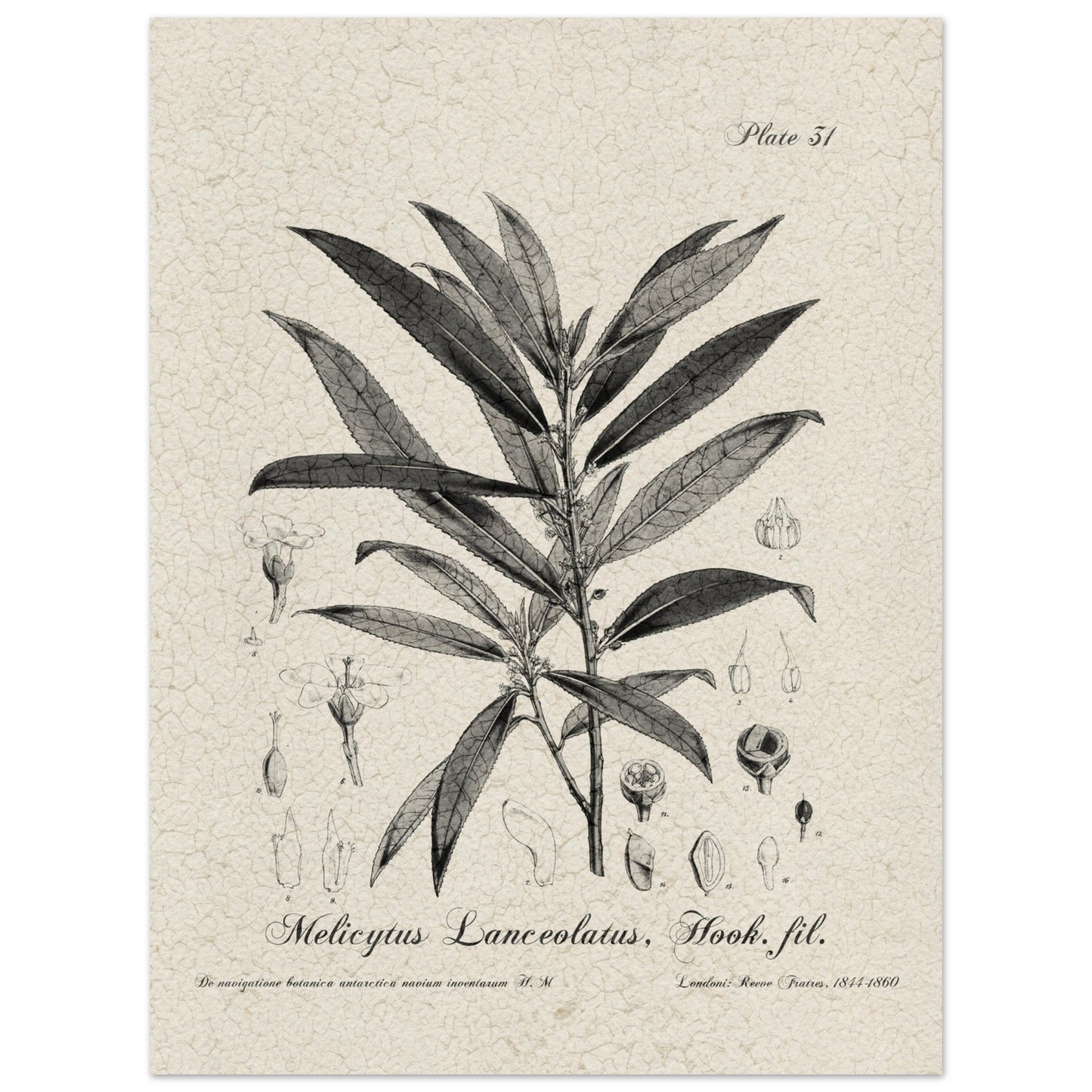 4c27bf33-eafd-4c08-b38c-de763d209e8c