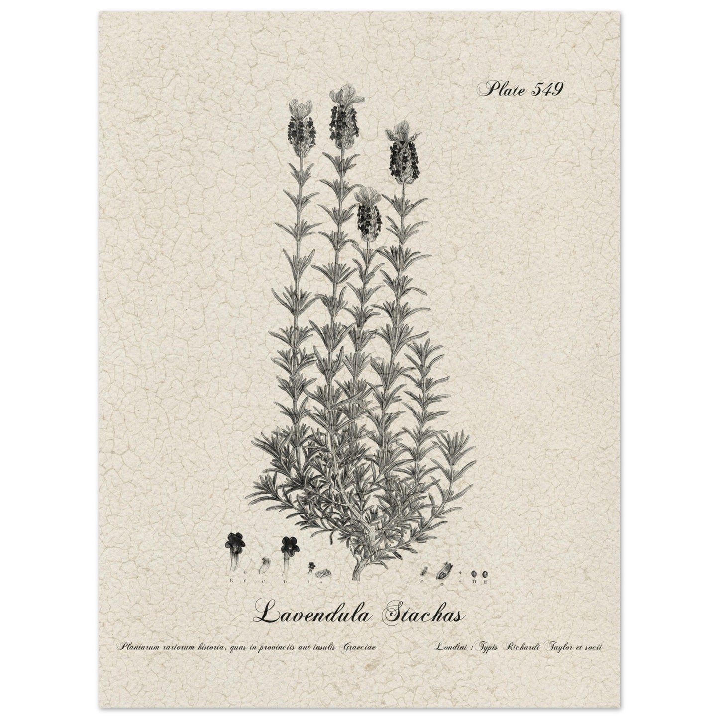 53e6d4a4-b588-4e9f-941a-532936fc7f32