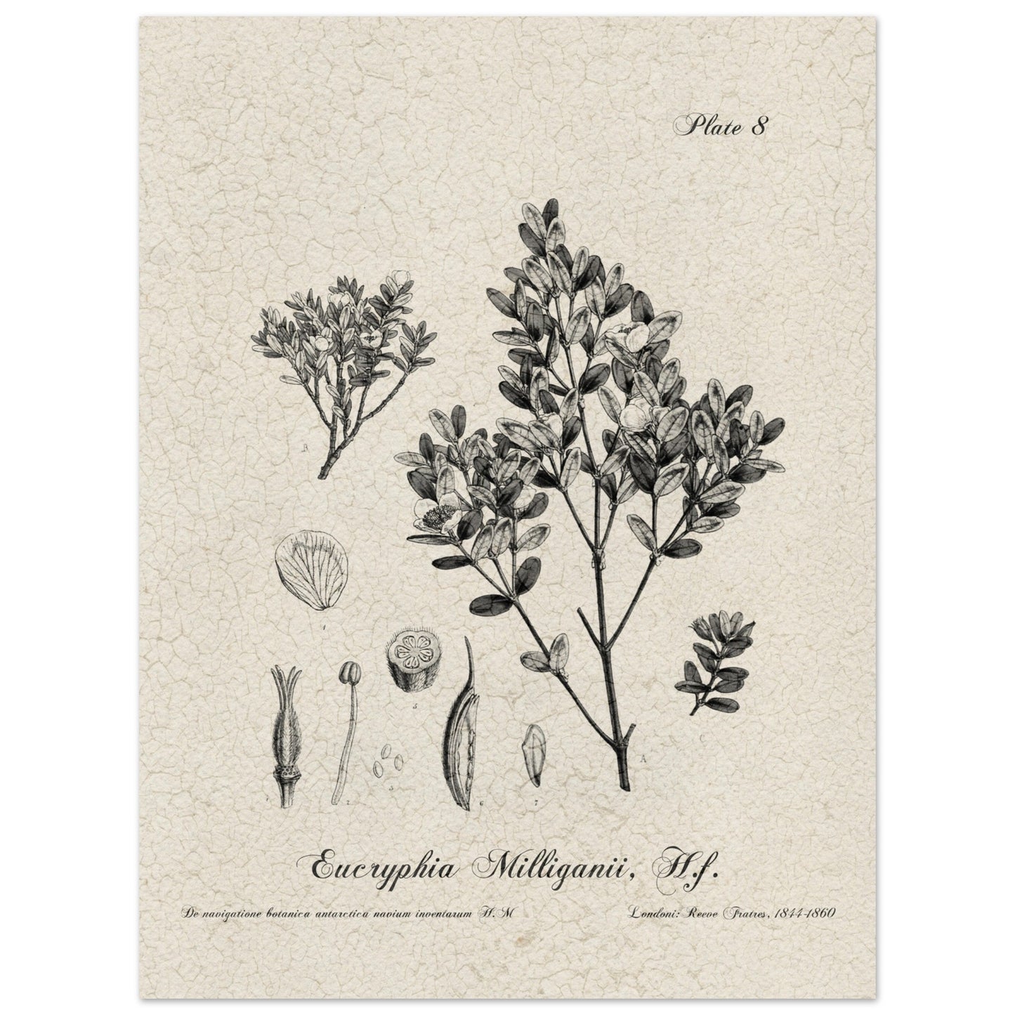 cd078bb8-8351-43c2-b8e3-3a41dc4ca106