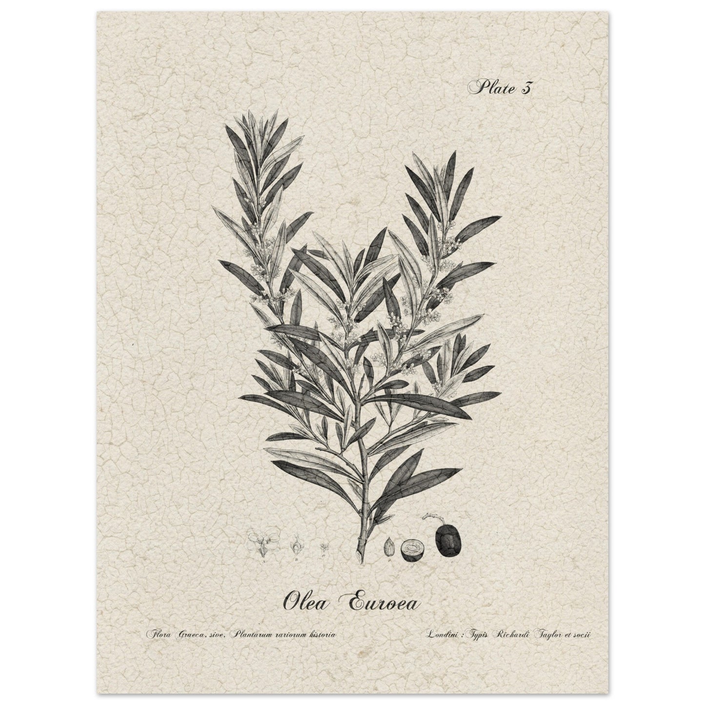 fc73020a-4e2e-4b98-9c59-4224fb7dd51a