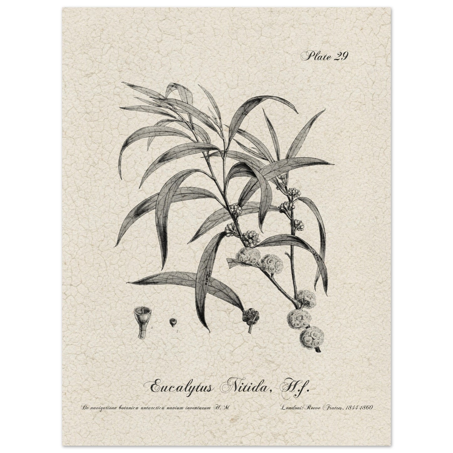 ff7dfd43-03a2-4760-b3fa-9c6d587874c6