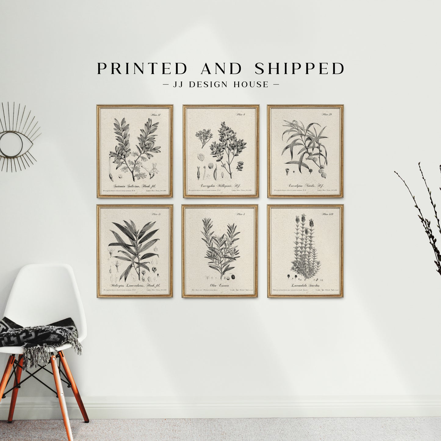Printed Vintage Flora Print Set of 6 Antique Botanical Wall Art