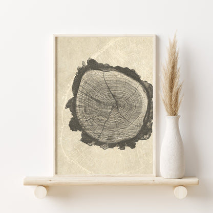 Printable Abstract Tree Ring Neutral Wall Art Set of 3