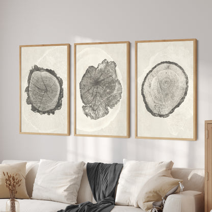 Printable Beige Tree Ring Wall Art Set of 3