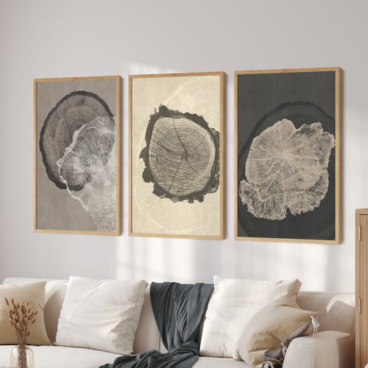 Printable Abstract Tree Ring Neutral Wall Art Set of 3