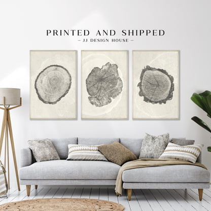 Printed Beige Tree Ring Set of 3 Prints