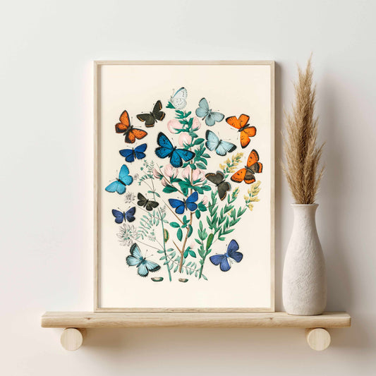 Printed Vintage Butterfly Wall Art